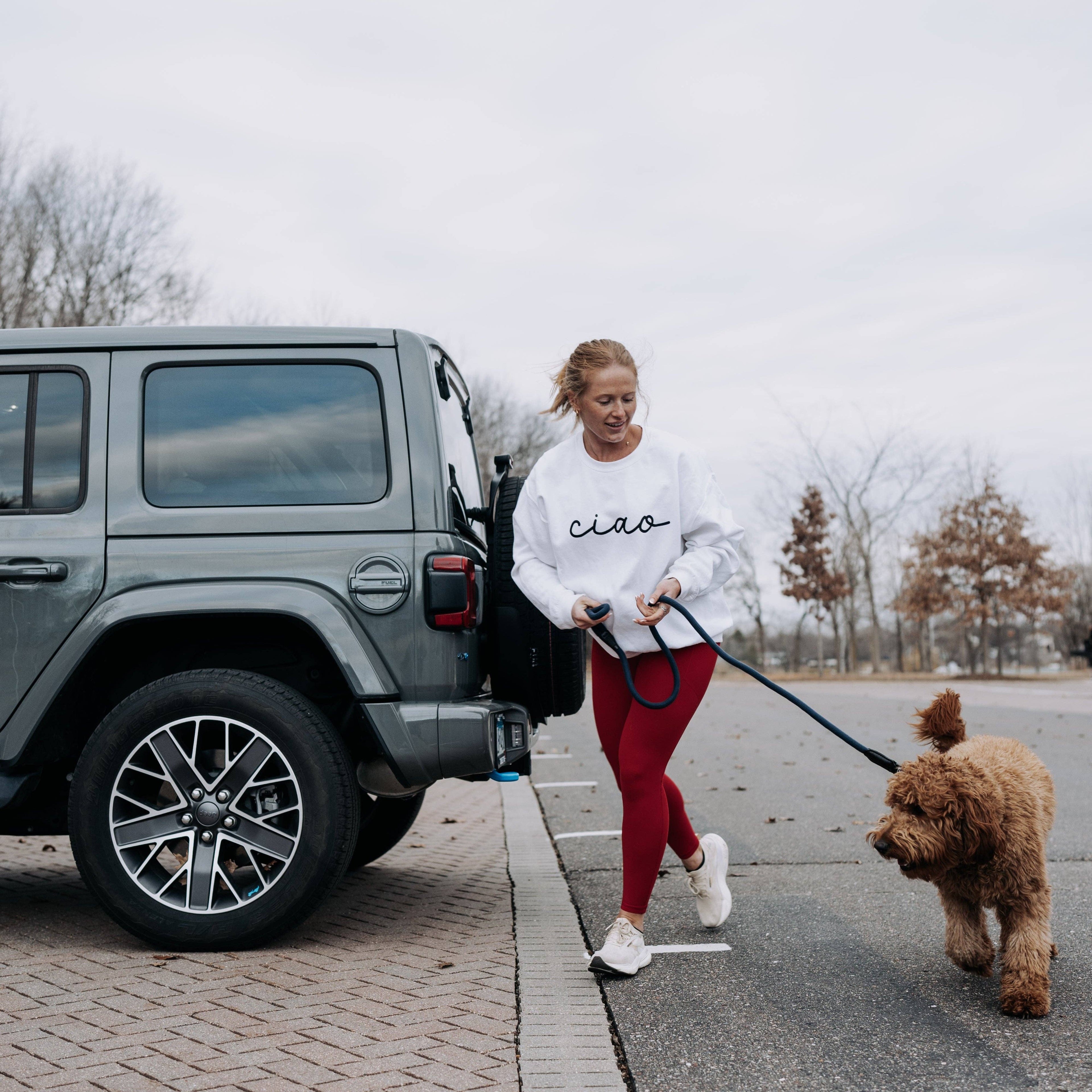 Woman walking a dog next to a gray SUV on a road.