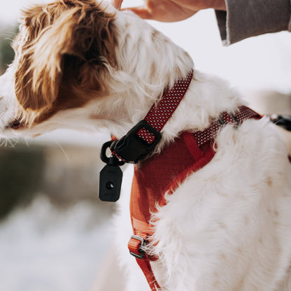 MAGNETIC QUICK CLIP CONTROL HARNESS
