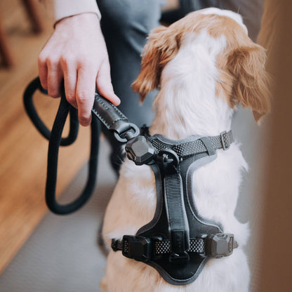 MAGNETIC QUICK CLIP ROPE LEASH