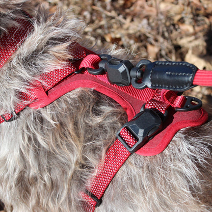 MAGNETIC QUICK CLIP CONTROL HARNESS