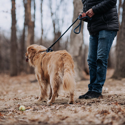 MAGNETIC QUICK CLIP ROPE LEASH