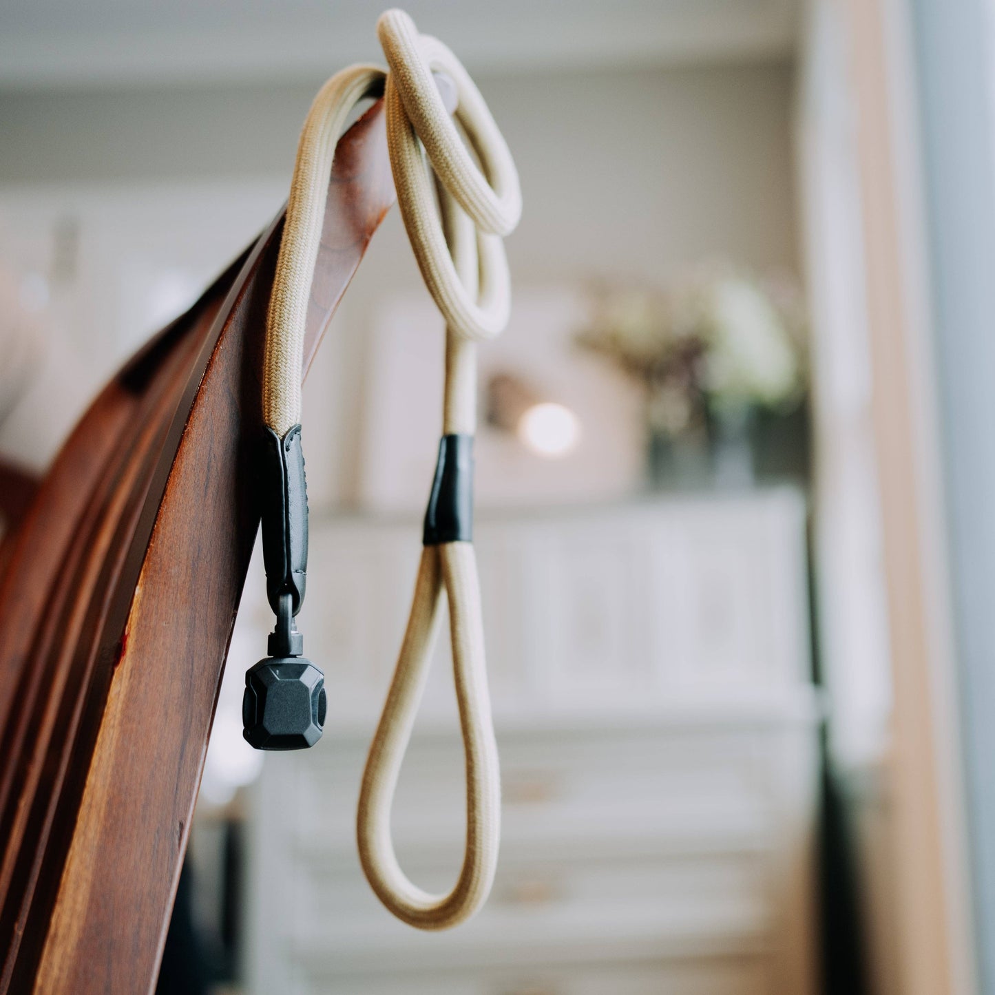 MAGNETIC QUICK CLIP ROPE LEASH