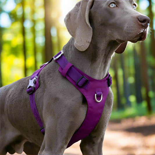 TRUELOVE™ LIGHTWEIGHT TACTICAL DOG HARNESS