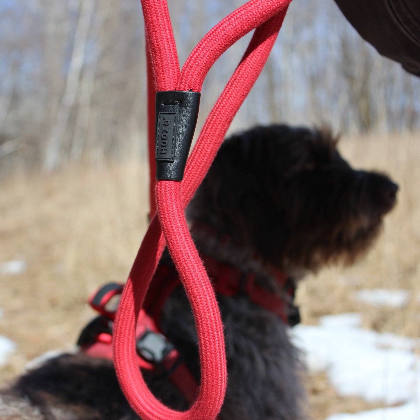 MAGNETIC QUICK CLIP ROPE LEASH